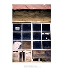 dailyPhoto20